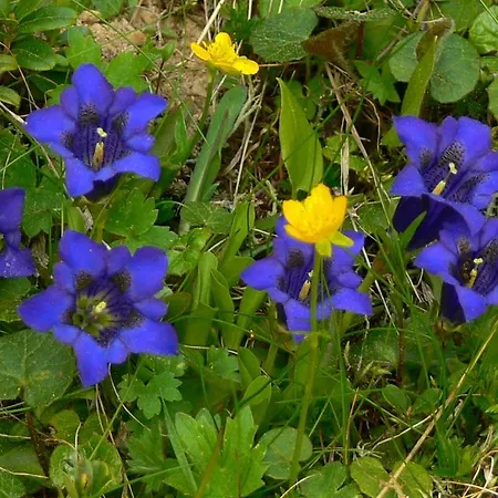 Apartmán Haus Thea Imsterberg