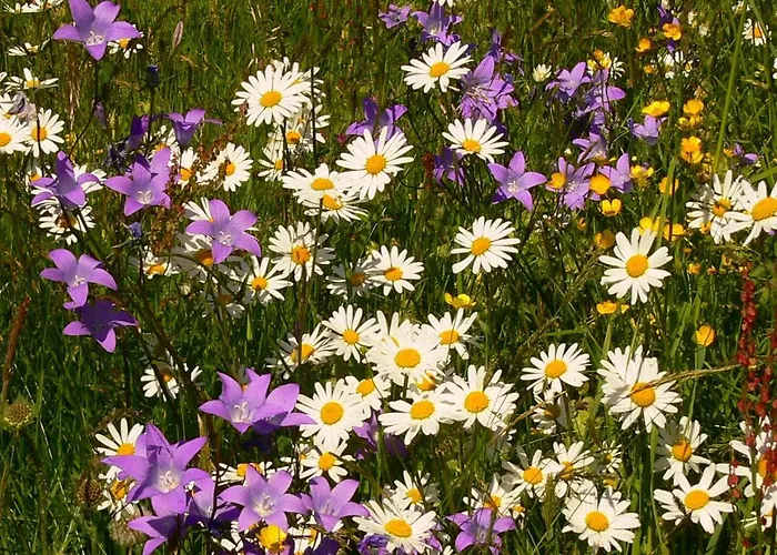 아파트 Haus Thea *