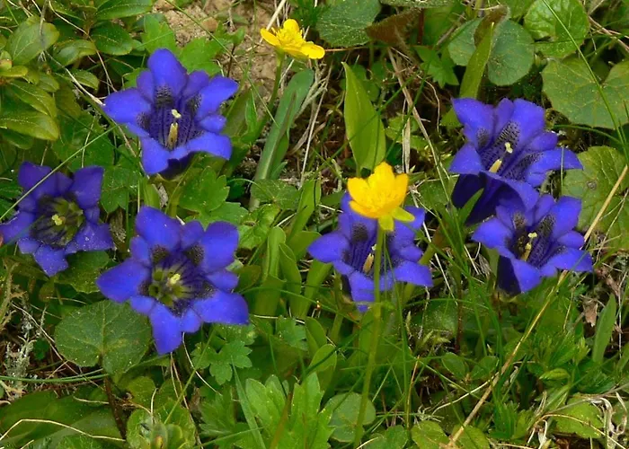 아파트 Haus Thea Imsterberg