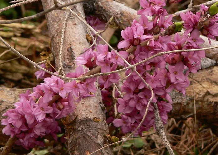 Haus Thea * Imsterberg