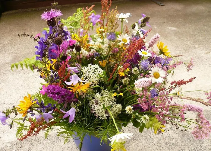 Haus Thea 아파트 Imsterberg