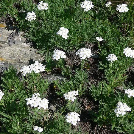 Haus Thea Apartman Imsterberg