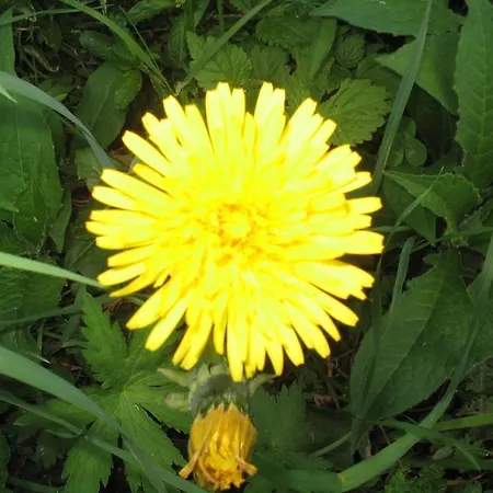 Haus Thea Imsterberg