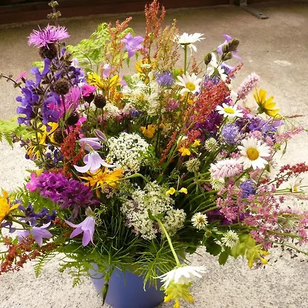 Haus Thea Apartman Imsterberg